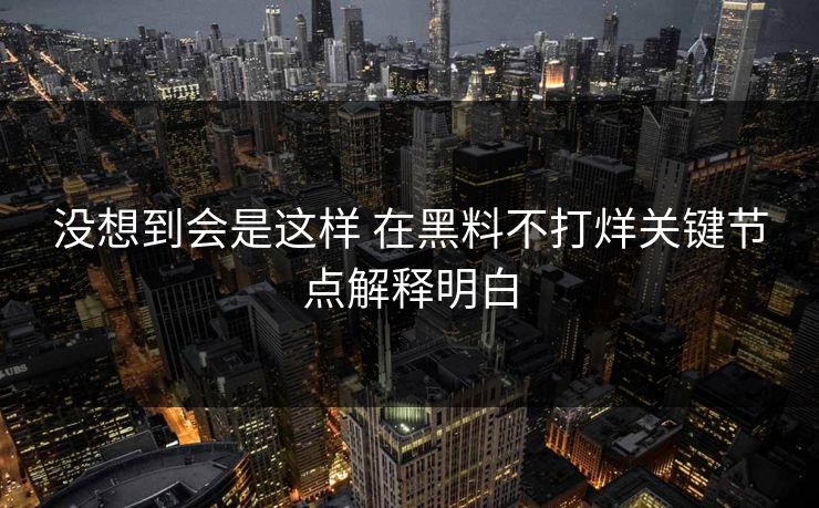 没想到会是这样 在黑料不打烊关键节点解释明白