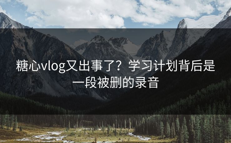 糖心vlog又出事了？学习计划背后是一段被删的录音