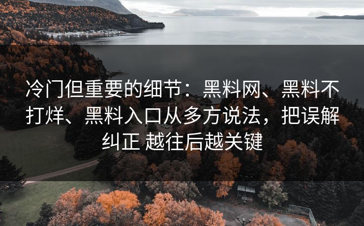 冷门但重要的细节：黑料网、黑料不打烊、黑料入口从多方说法，把误解纠正 越往后越关键