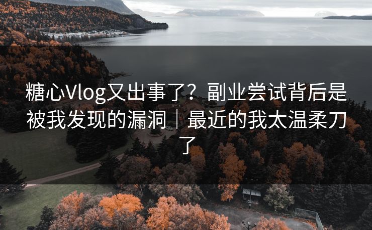 糖心Vlog又出事了？副业尝试背后是被我发现的漏洞｜最近的我太温柔刀了
