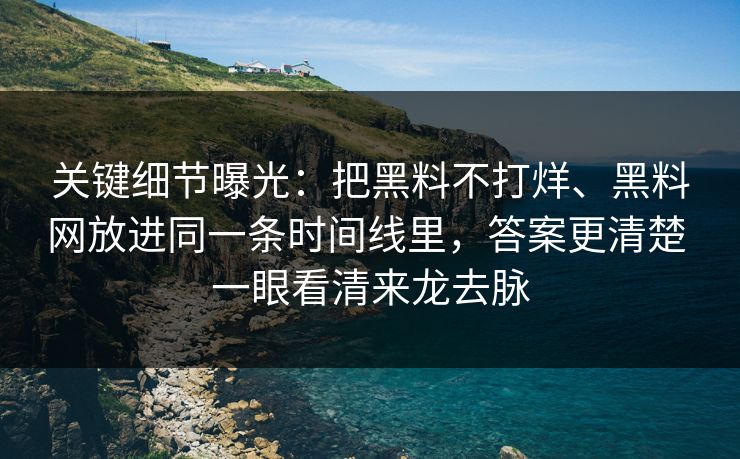 关键细节曝光：把黑料不打烊、黑料网放进同一条时间线里，答案更清楚 一眼看清来龙去脉