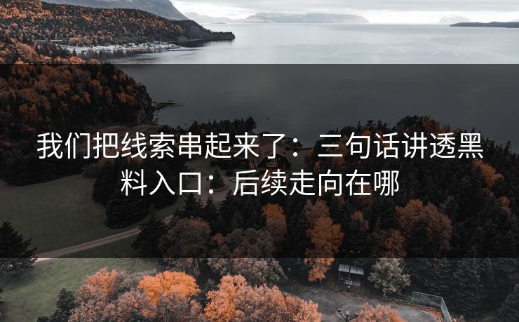 我们把线索串起来了：三句话讲透黑料入口：后续走向在哪