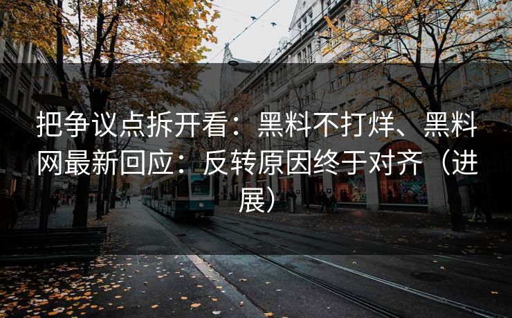 把争议点拆开看：黑料不打烊、黑料网最新回应：反转原因终于对齐（进展）