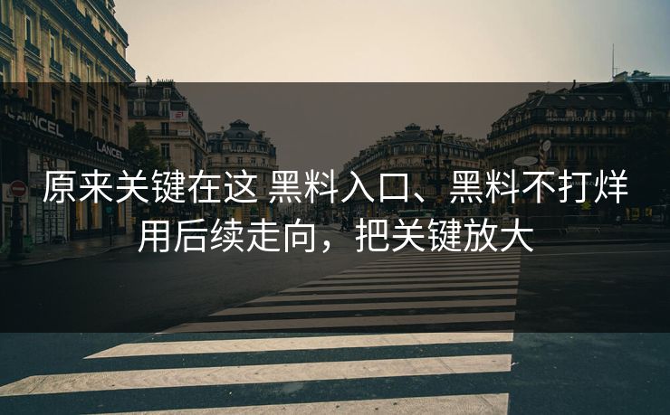 原来关键在这 黑料入口、黑料不打烊用后续走向，把关键放大