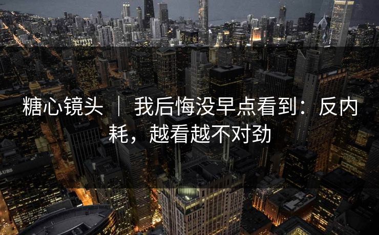 糖心镜头 ｜ 我后悔没早点看到：反内耗，越看越不对劲