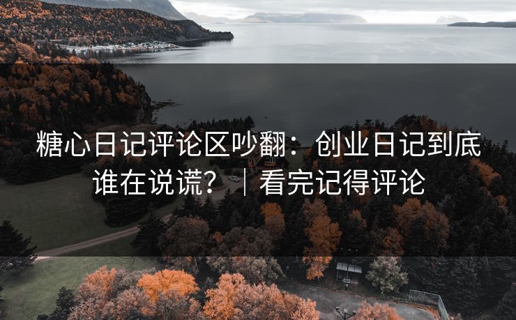 糖心日记评论区吵翻：创业日记到底谁在说谎？｜看完记得评论