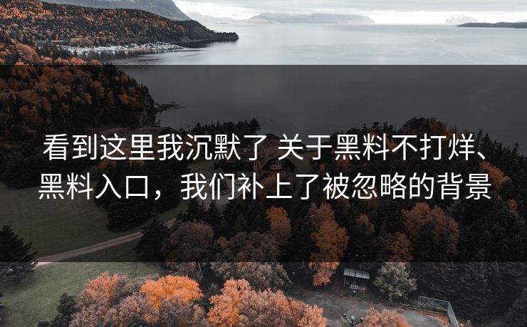 看到这里我沉默了 关于黑料不打烊、黑料入口，我们补上了被忽略的背景