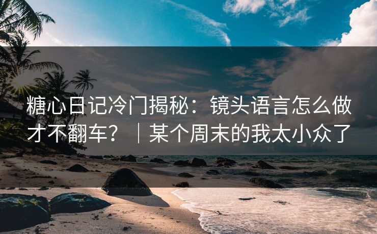 糖心日记冷门揭秘：镜头语言怎么做才不翻车？｜某个周末的我太小众了