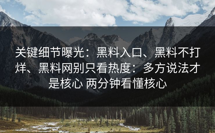 关键细节曝光：黑料入口、黑料不打烊、黑料网别只看热度：多方说法才是核心 两分钟看懂核心