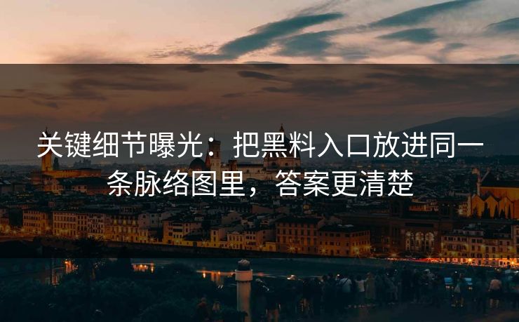 关键细节曝光：把黑料入口放进同一条脉络图里，答案更清楚
