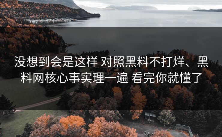 没想到会是这样 对照黑料不打烊、黑料网核心事实理一遍 看完你就懂了