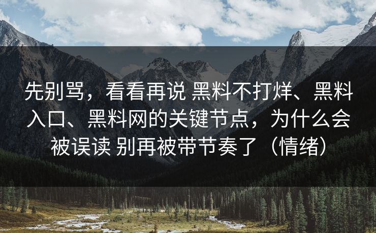 先别骂，看看再说 黑料不打烊、黑料入口、黑料网的关键节点，为什么会被误读 别再被带节奏了（情绪）