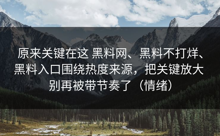 原来关键在这 黑料网、黑料不打烊、黑料入口围绕热度来源，把关键放大 别再被带节奏了（情绪）