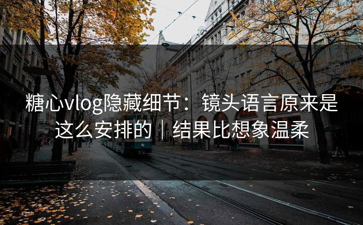糖心vlog隐藏细节：镜头语言原来是这么安排的｜结果比想象温柔